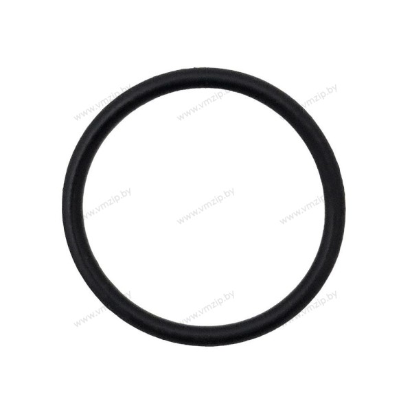 Уплотнительное кольцо крышки сальников Suzuki DF200-300 09280-40016