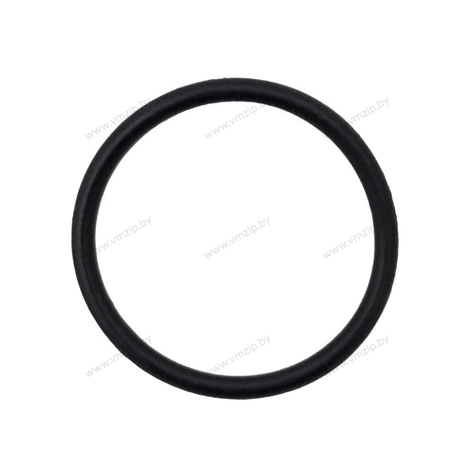 Уплотнительное кольцо крышки сальников Suzuki DF200-300 09280-40016